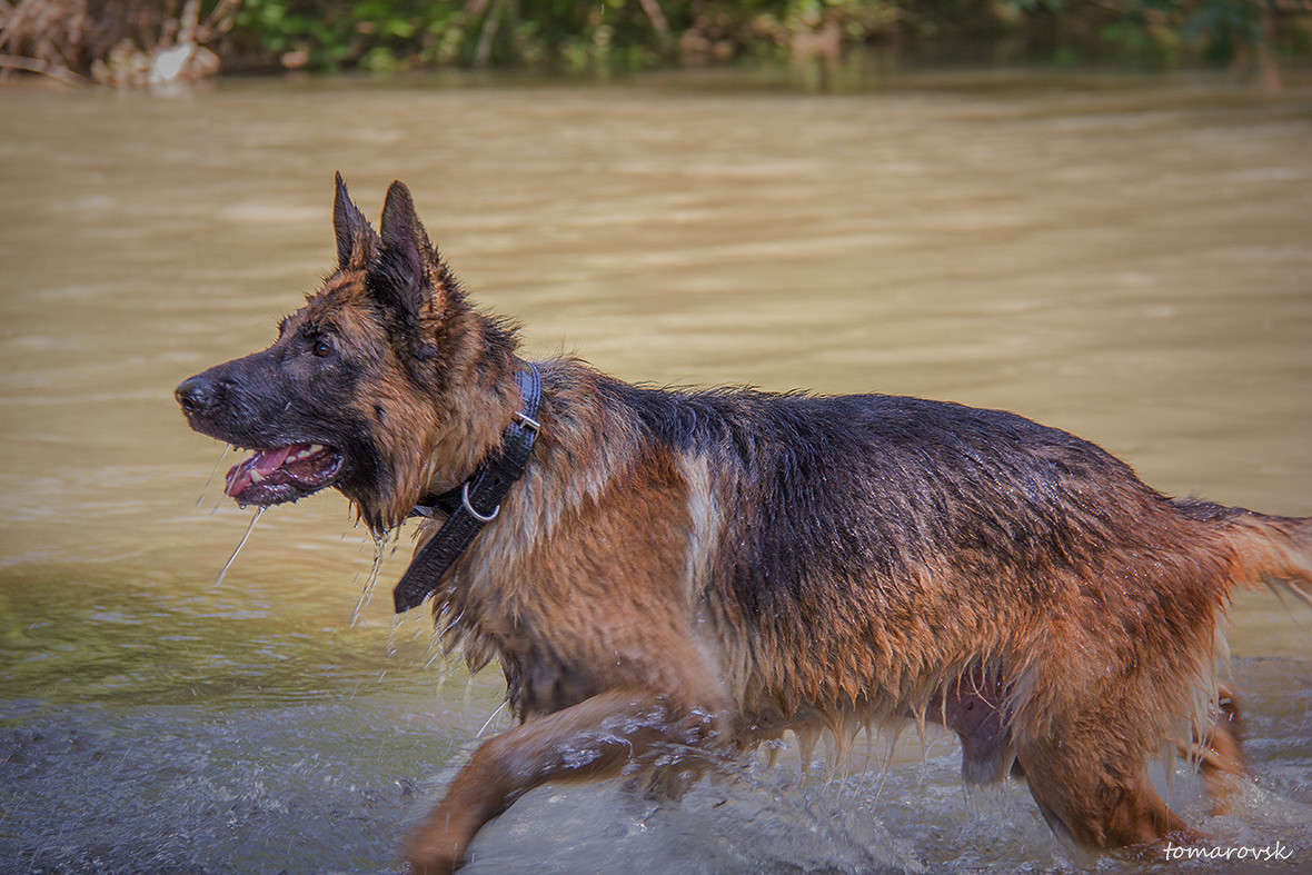 ������ ����� ����� ����� ����������� �� PhotoGeek.ru #�������� ��� #��������