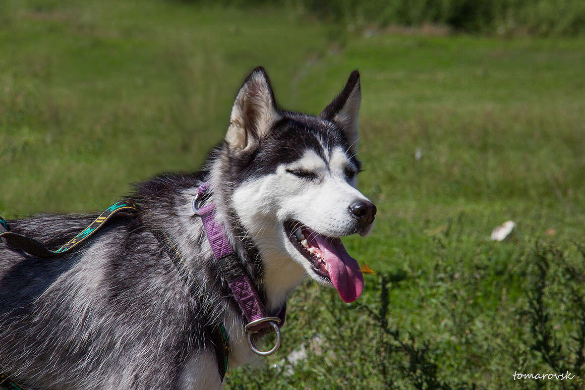 ��������!! !��� �������))) ����� ����� ����������� �� PhotoGeek.ru #�������� ��� #��������