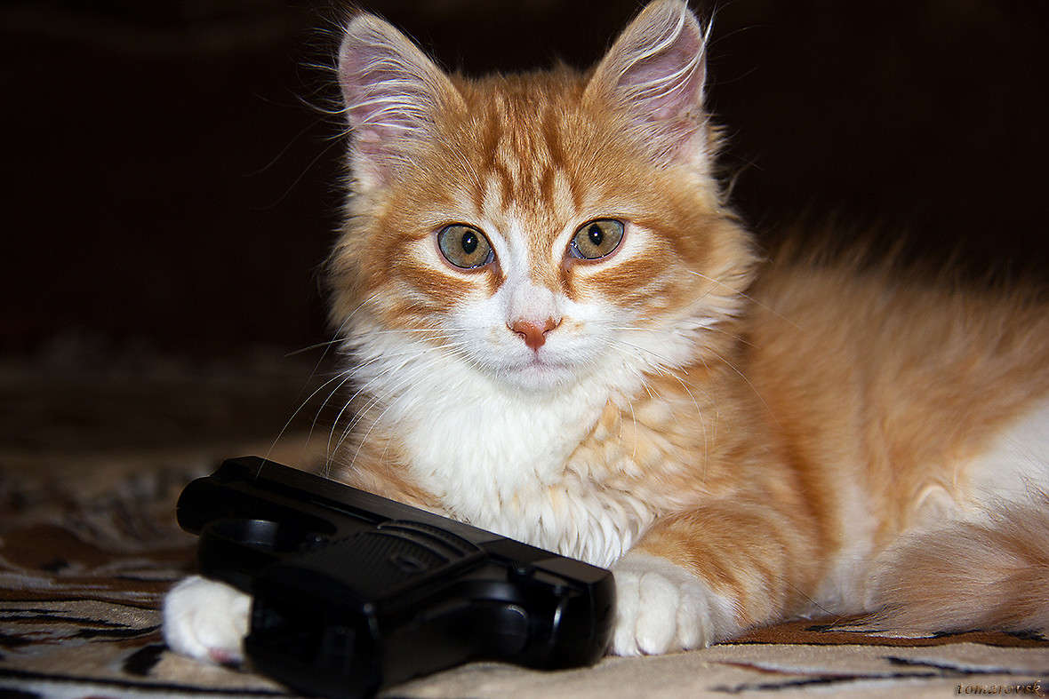 ������ ����!!! ����� ����� ����������� �� PhotoGeek.ru #�������� ��� #������� #�������� ���