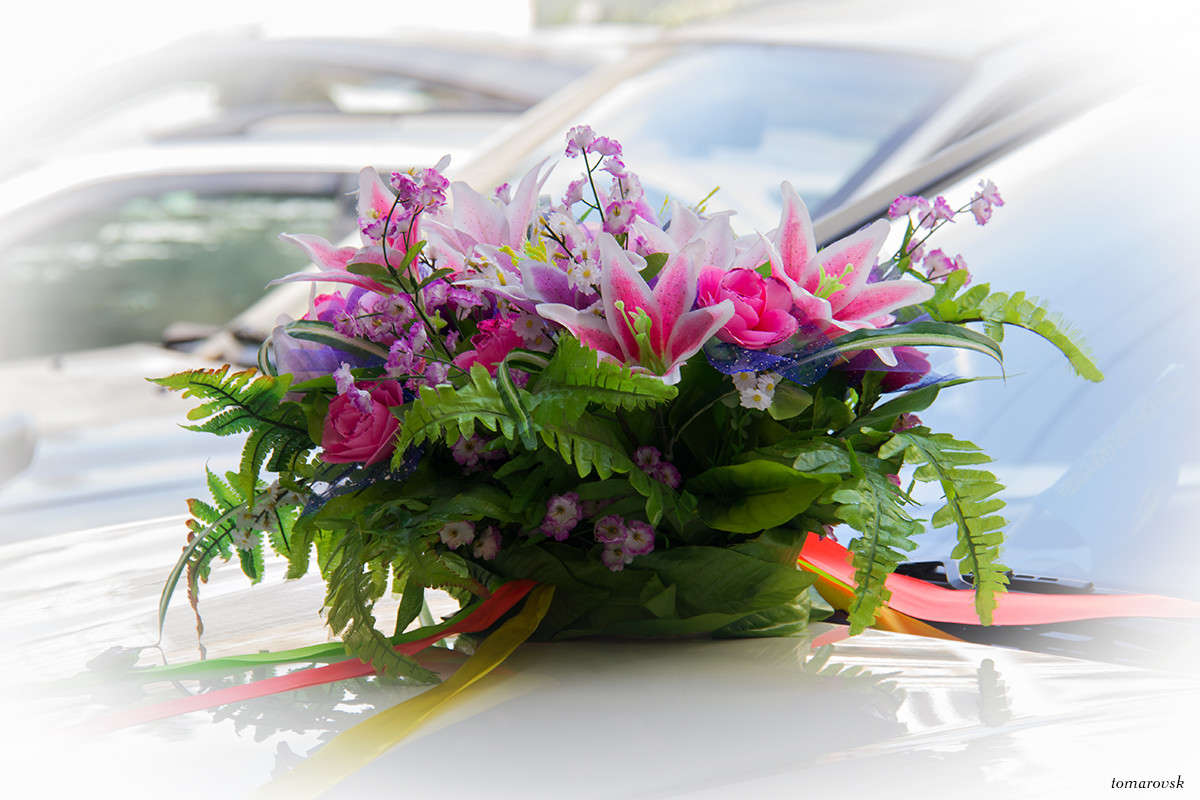 �����, ���������� �������!!! ����� ����� ����������� �� PhotoGeek.ru #��������� ����������