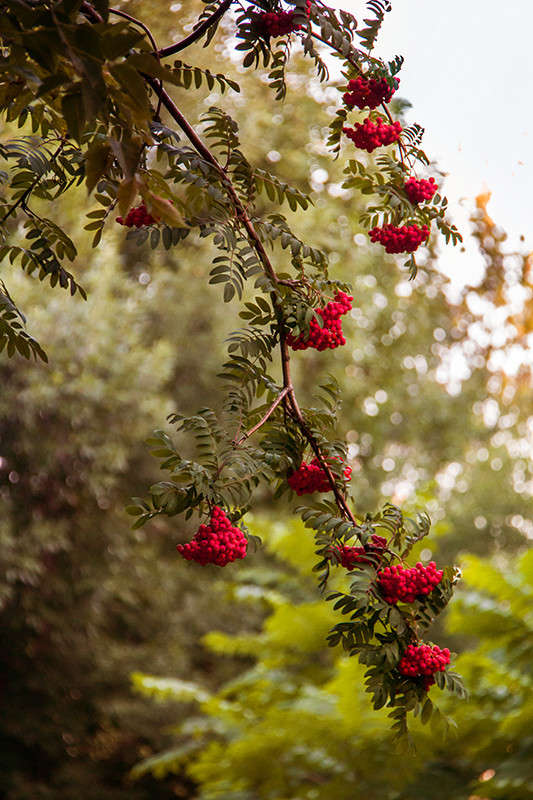 ... ����� ����� ����������� �� PhotoGeek.ru #������ ��� �������