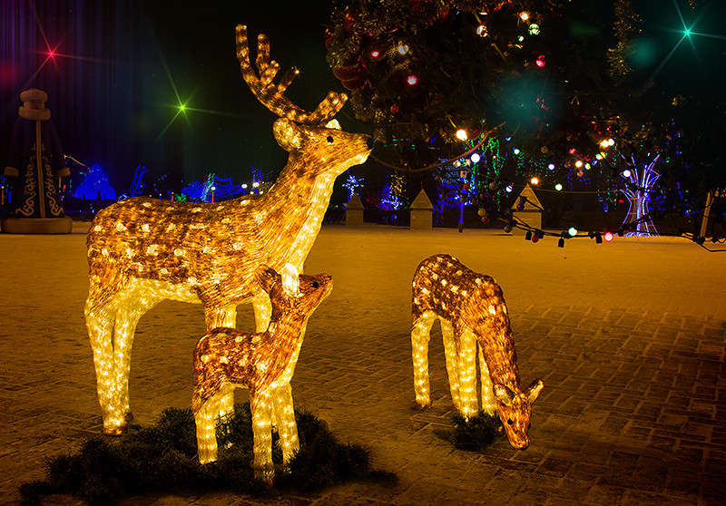 ����� ����� ����� ����������� �� PhotoGeek.ru #�����