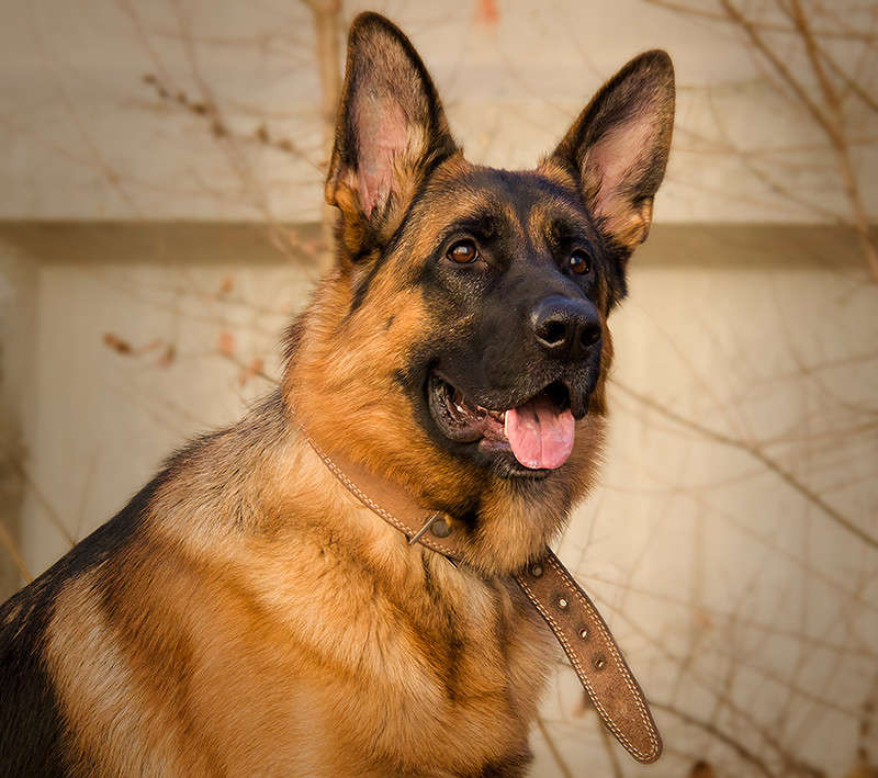 ... ����� ����� ����������� �� PhotoGeek.ru #�������� ���