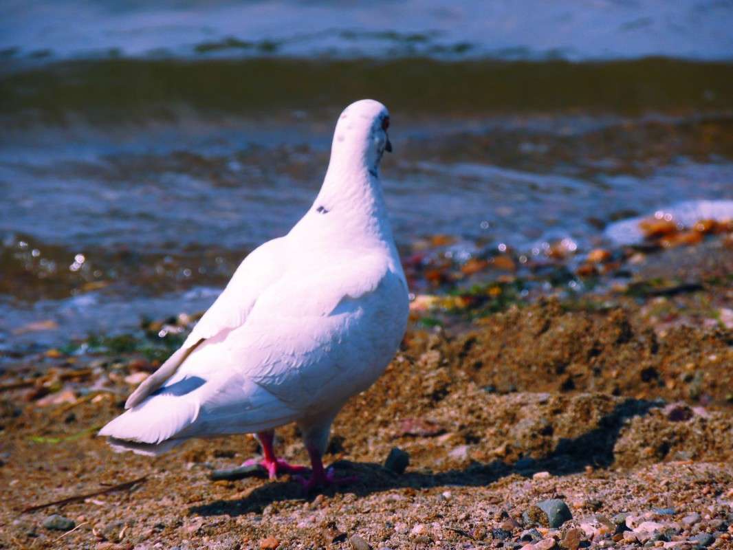 ������� ����� ������� �������� �� PhotoGeek.ru #�������� ���