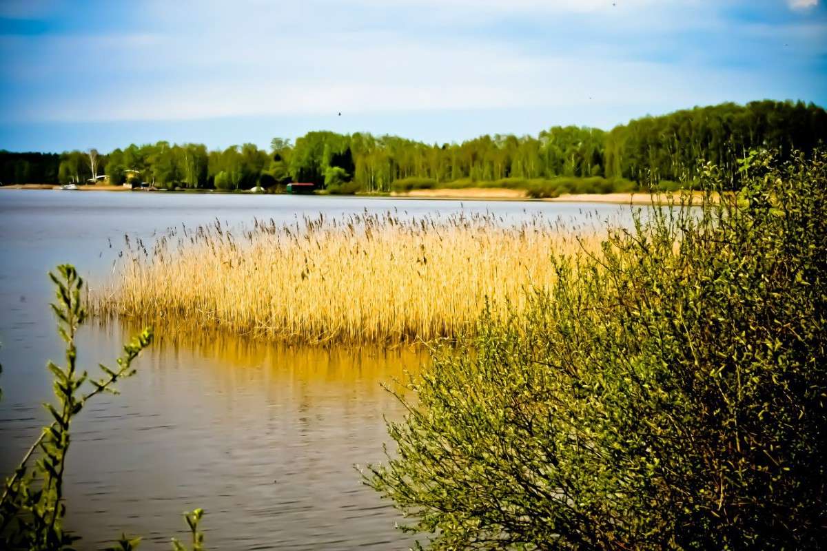 �� ������ ����� ��������� ������� �� PhotoGeek.ru #������ ��� �������