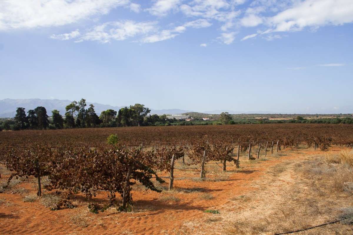 ������������ ����� ��������� ������� �� PhotoGeek.ru #������ ��� �������