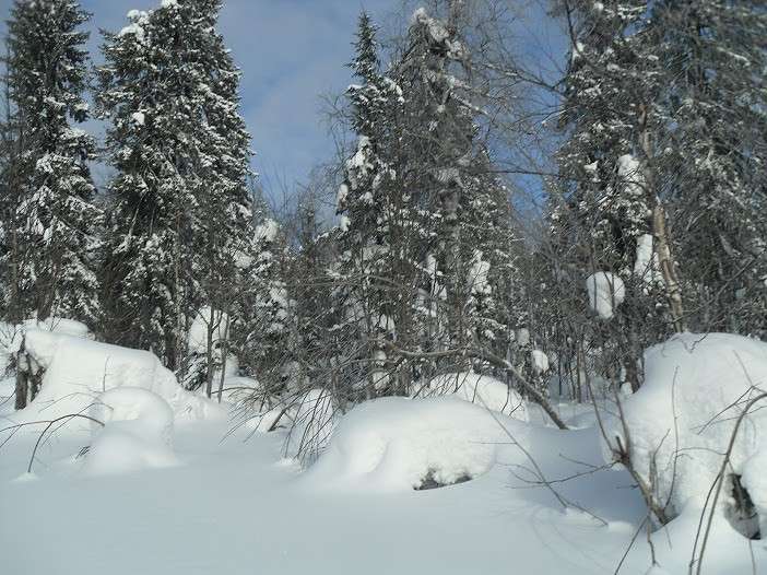 ... ����� ������  �� PhotoGeek.ru #������ ��� ������� #�������� #������