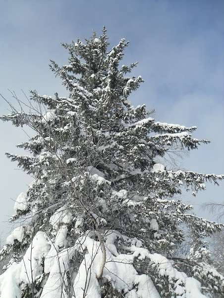 ... ����� ������  �� PhotoGeek.ru #������ ��� �������