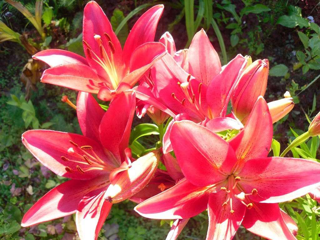 ������ ������ ����� ������  �� PhotoGeek.ru #������ ��� ������� #����� �������������� #���������