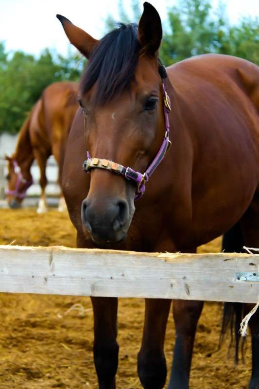 ... ����� �������  �� PhotoGeek.ru #�������� ��� #����� ��� ��� ���������