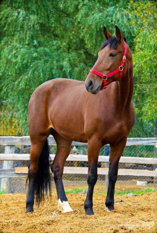 ... ����� �������  �� PhotoGeek.ru #�������� ��� #����� ��� ��� ���������