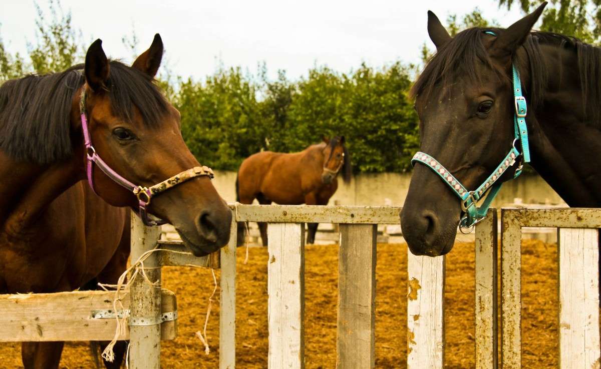 ... ����� �������  �� PhotoGeek.ru #�������� ��� #����� ��� ��� ���������