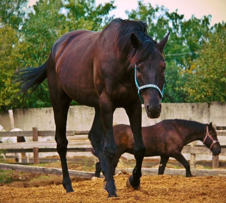 ... ����� �������  �� PhotoGeek.ru #�������� ��� #����� ��� ��� ���������