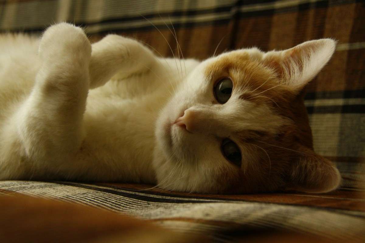 �����������, ������ =) ����� �������  �� PhotoGeek.ru #�������� ��� #�������� ���