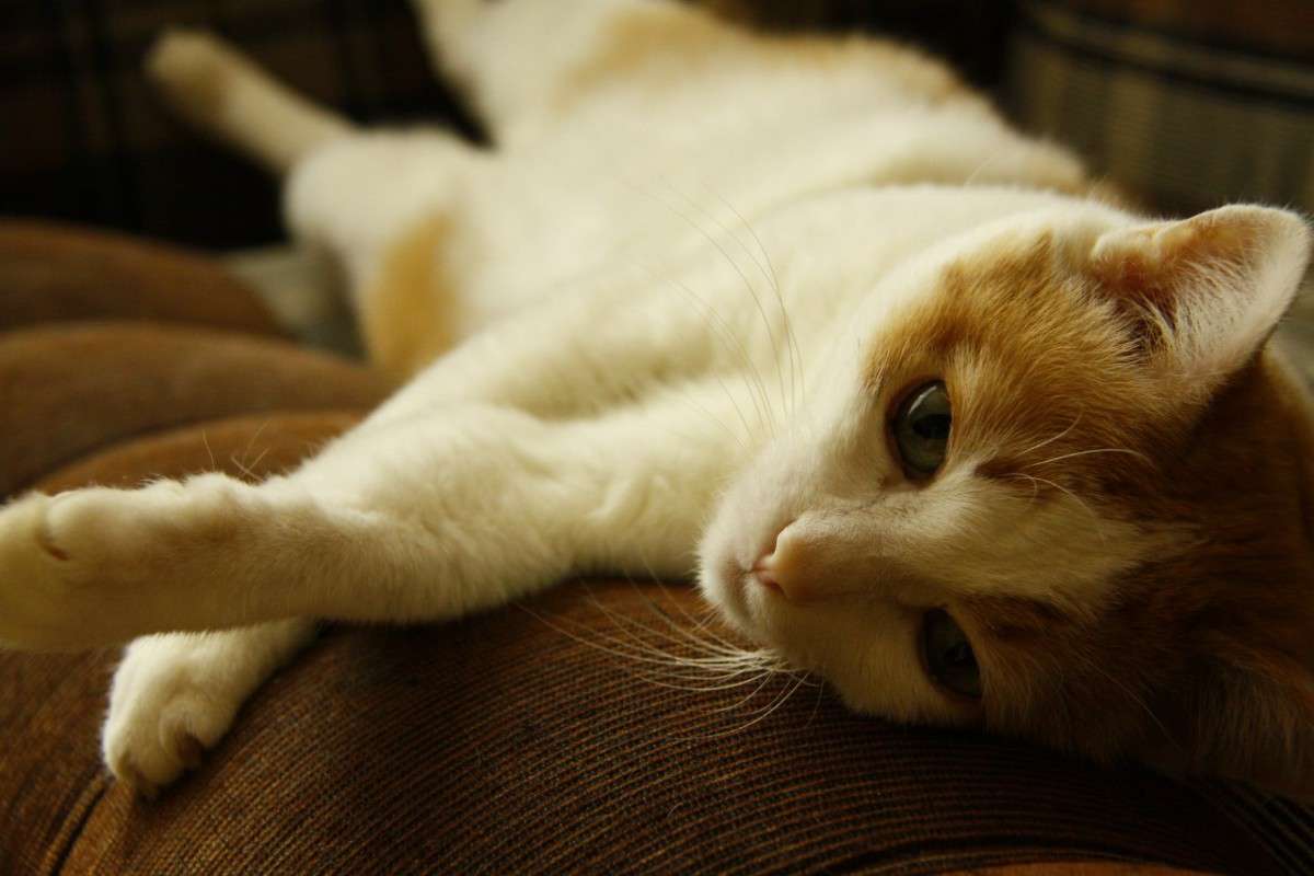 � ��� ������ ����� �������  �� PhotoGeek.ru #�������� ��� #�������� ���