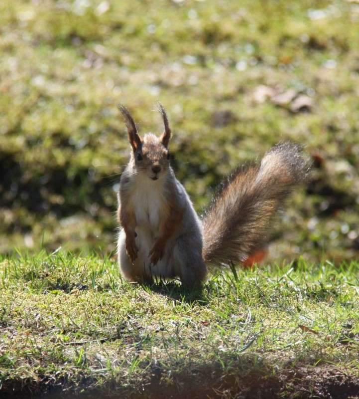 �������� ����� �������  �� PhotoGeek.ru #�������� ��� #������� #����� ��� ��� ���������