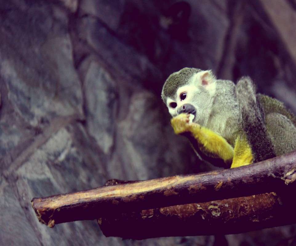 ���������� � �������� ����� ����� �������  �� PhotoGeek.ru #�������� ���