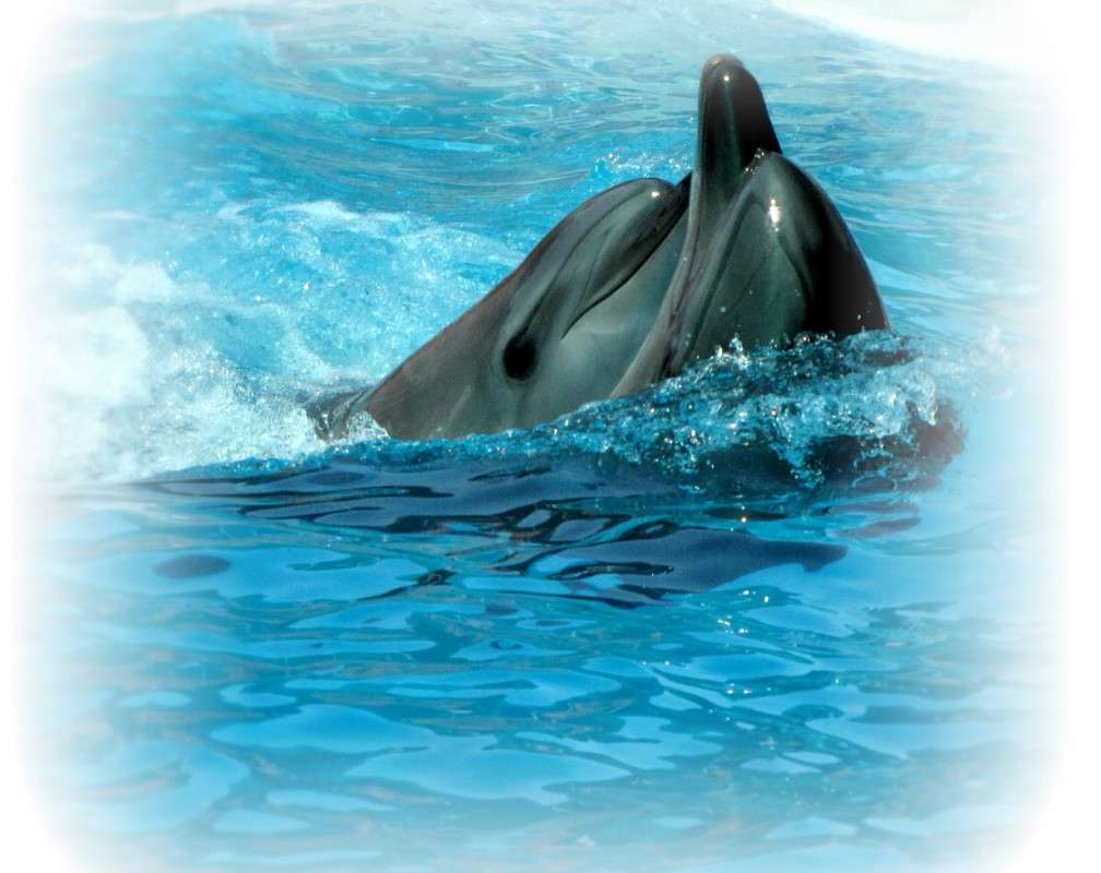 ������ - ������� ����� �������  �� PhotoGeek.ru #�������� ��� #�������