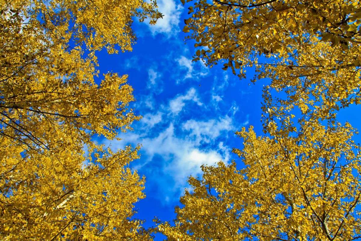 ... ����� �������  �� PhotoGeek.ru #������ ��� ������� #����� ��������������