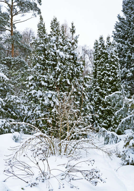 ������� ������� ����� ����� ������� �� PhotoGeek.ru #������ ��� ������� #����� ��������������