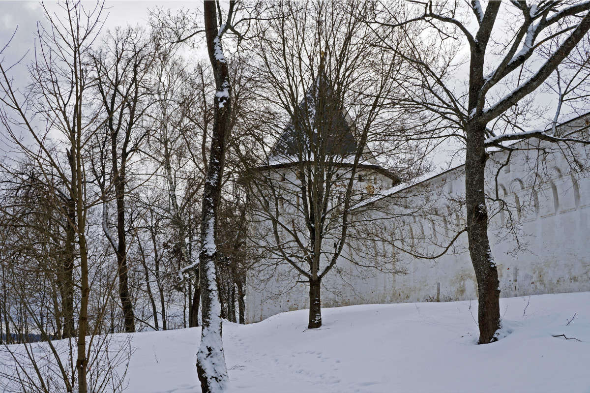 Саввино-Сторожевой монастырь, стена автор Елена Иванова на PhotoGeek.ru #Архитектура
