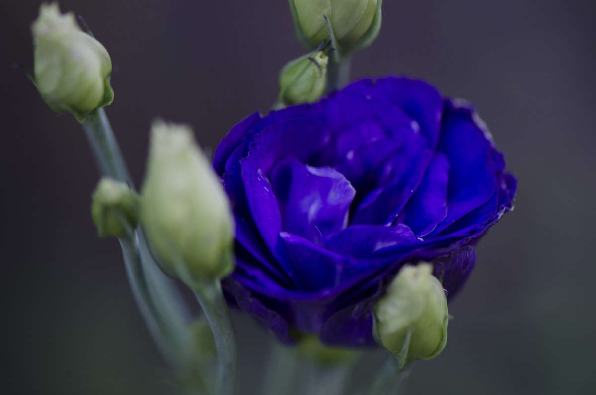 ����...����������� ����� ����  �� PhotoGeek.ru #����� #����� ��������������