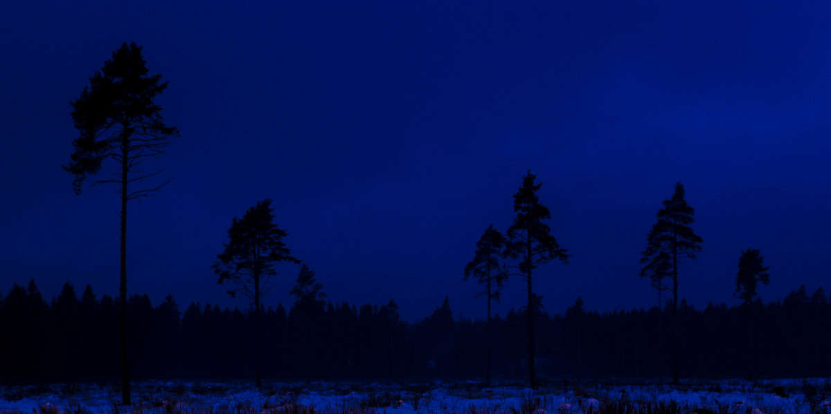 ...������ �� ���� ������! ����� �����  �� PhotoGeek.ru #������ ��� �������