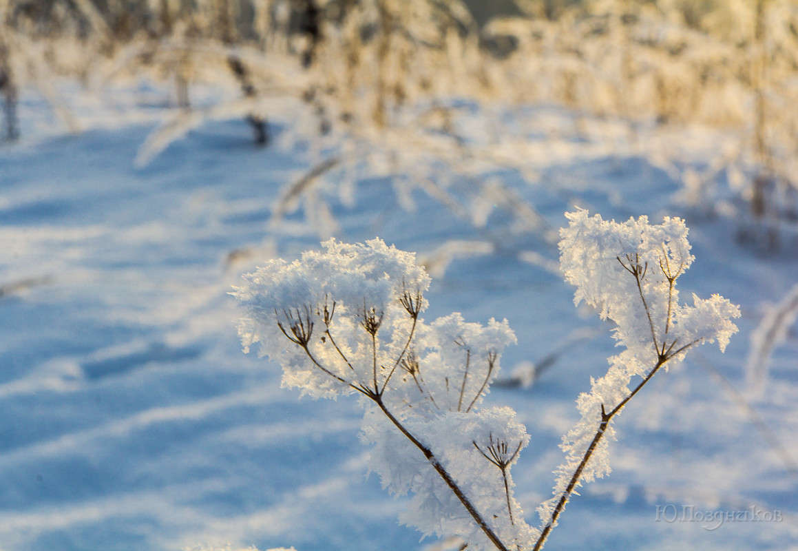 ����� ������� ����� ���� ��������� �� PhotoGeek.ru #������ ��� ������� #�������� #����� �������������� #���������