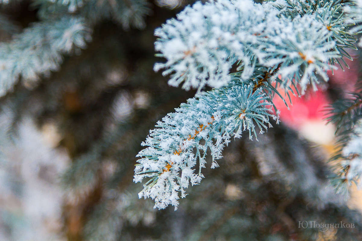 ������� ����� ���� ��������� �� PhotoGeek.ru #����� #������ ��� ������� #��������