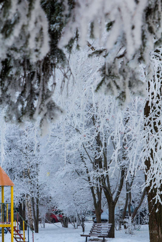 ������ ����� ���� ��������� �� PhotoGeek.ru #����� #������ ��� ������� #���������