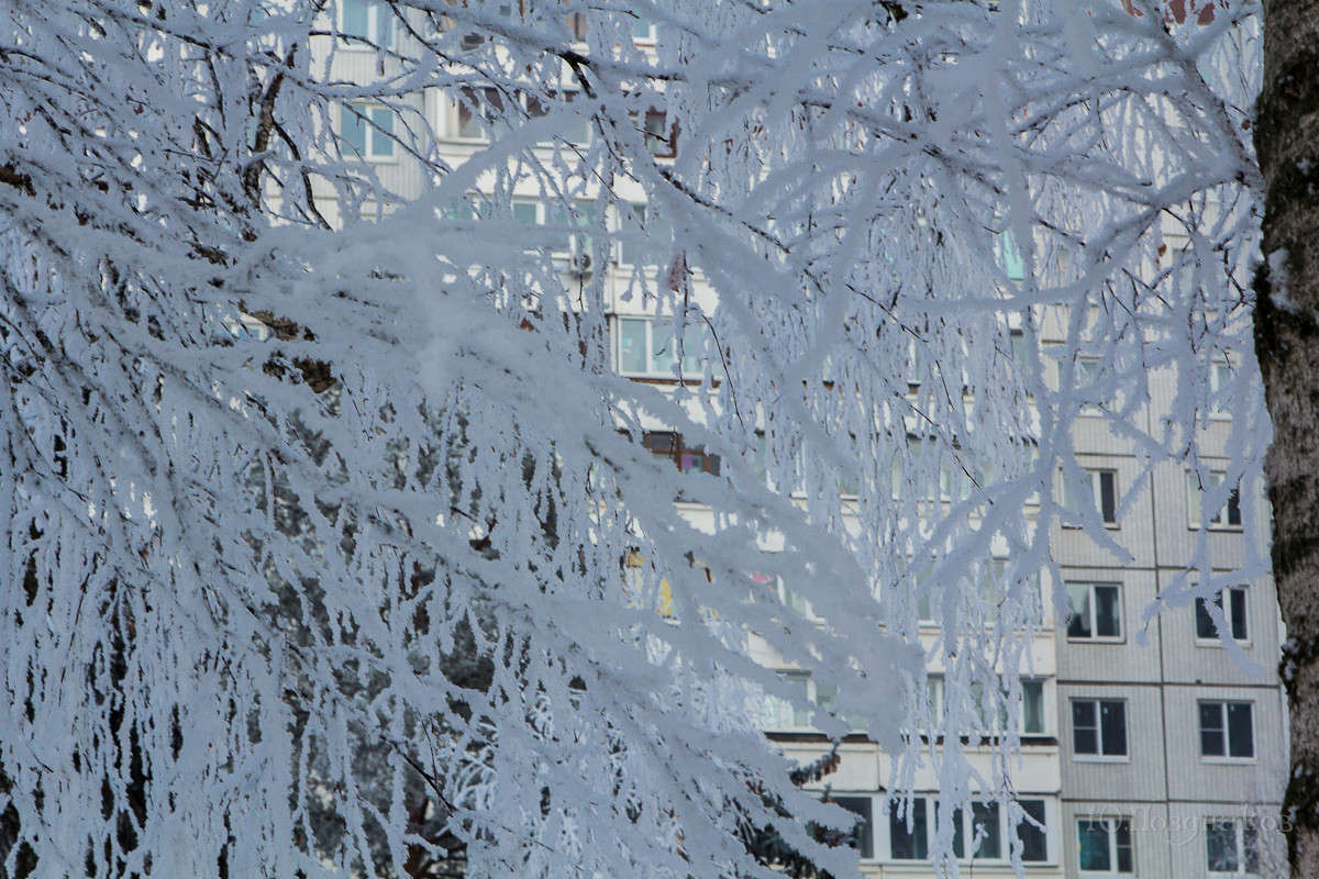 ����� ���� ����� ���� ��������� �� PhotoGeek.ru #����� #������ ��� ������� #���������