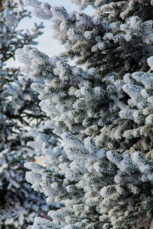 ������ ����� ���� ��������� �� PhotoGeek.ru #����� #������ ��� ������� #���������