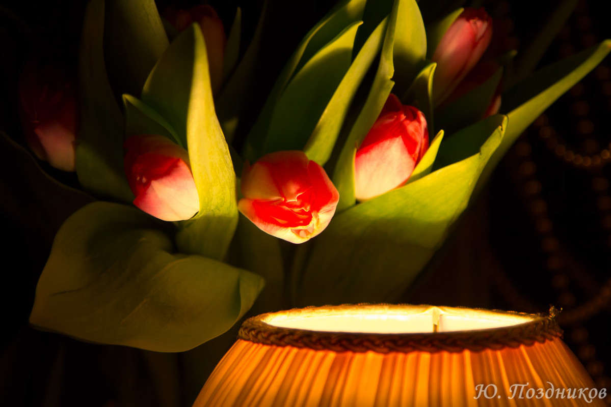 ����� ���� ����� ���� ��������� �� PhotoGeek.ru #��������