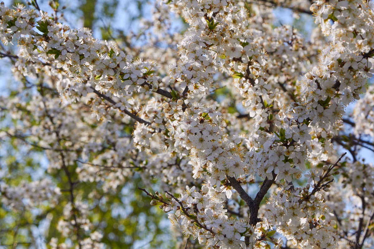 �������� ����� ���� ��������� �� PhotoGeek.ru #������ ��� ������� #����� �������������� #���������