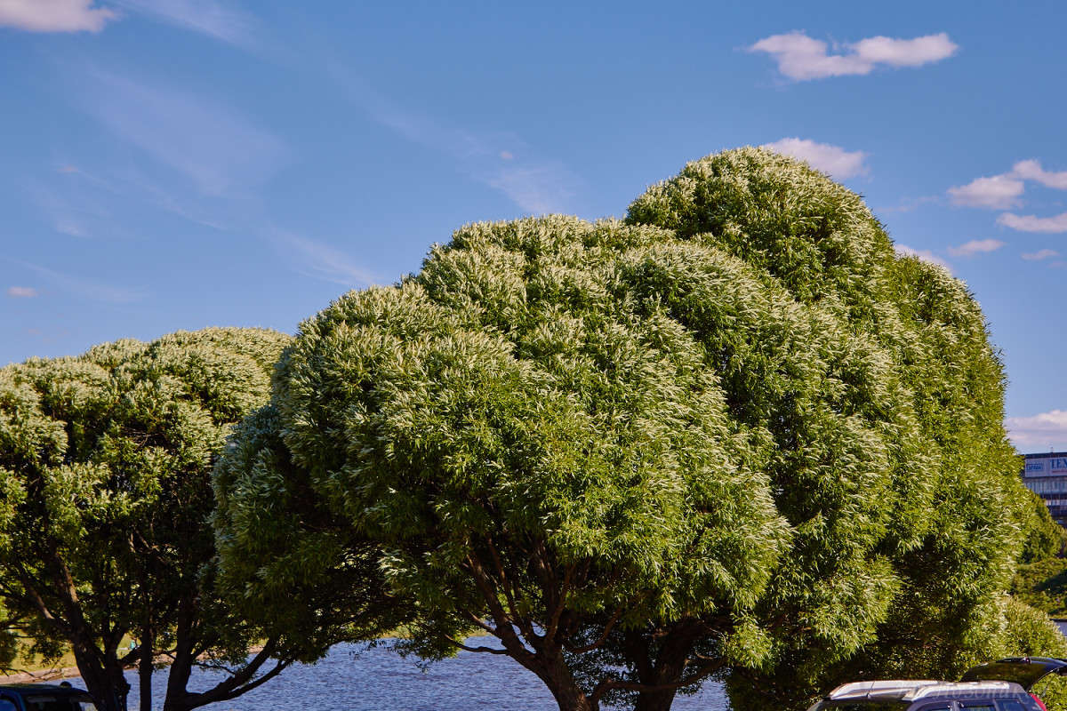 �����, ����� �� �����... ����� ���� ��������� �� PhotoGeek.ru #����� #������ ��� ������� #��������