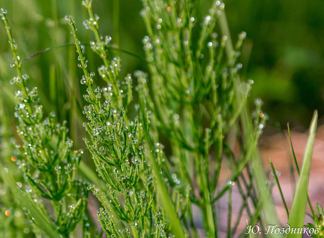 �������� ����� ���� ��������� �� PhotoGeek.ru #������ ��� ������� #����� ��������������