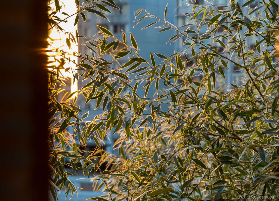 ������� ������� ����� ���� ��������� �� PhotoGeek.ru #����� #�������� #��������� ������