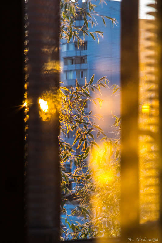 �������� �������� ����� ���� ��������� �� PhotoGeek.ru #����� #��������