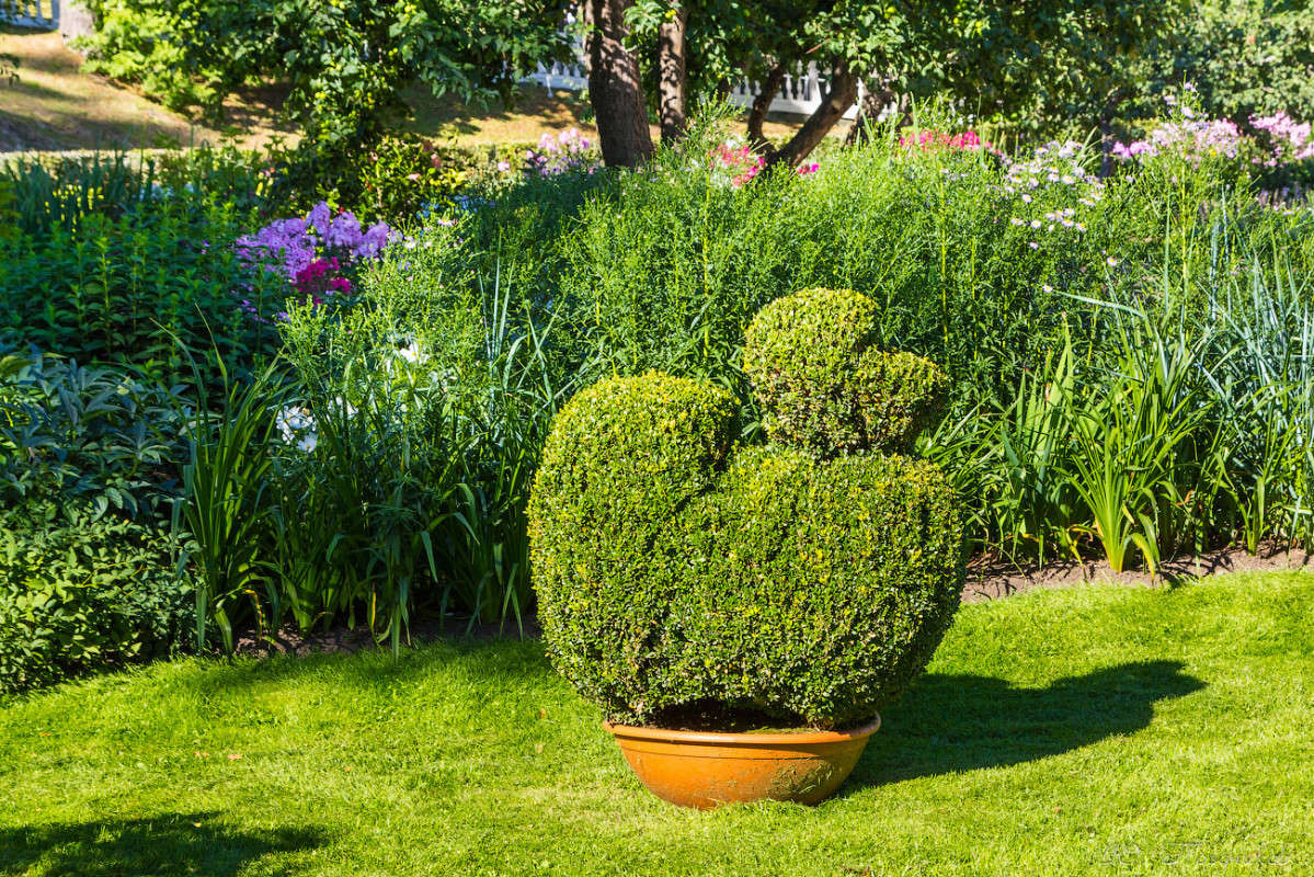 �������� ����� ���� ��������� �� PhotoGeek.ru #����� #��������