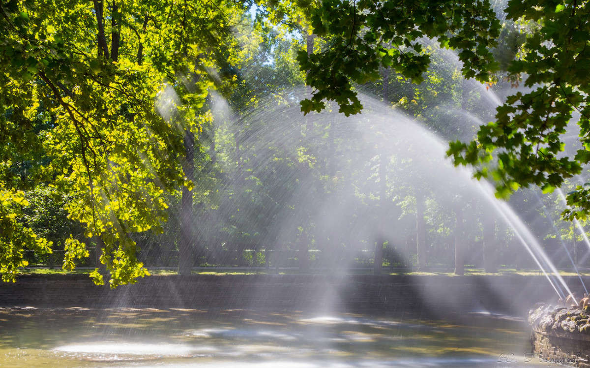 �������� ����� ���� ��������� �� PhotoGeek.ru #����� #��������