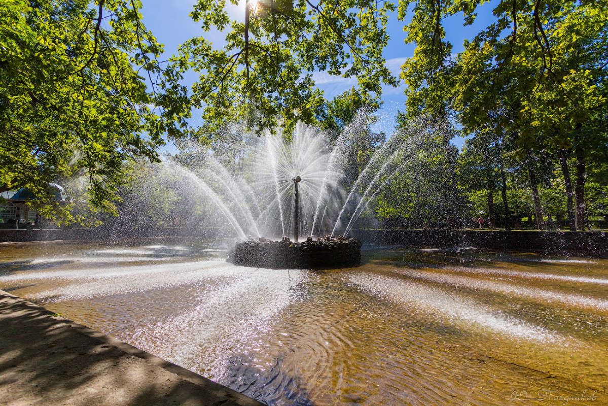 �������� ����� ���� ��������� �� PhotoGeek.ru #����� #��������