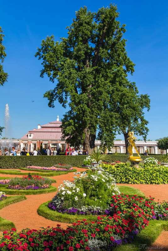 �������� ����� ���� ��������� �� PhotoGeek.ru #����� #��������