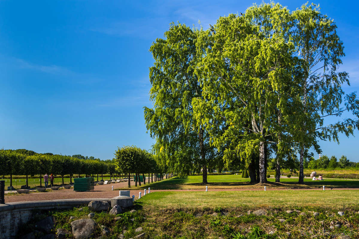 �������� ����� ���� ��������� �� PhotoGeek.ru #������ ��� ������� #�������� #��������