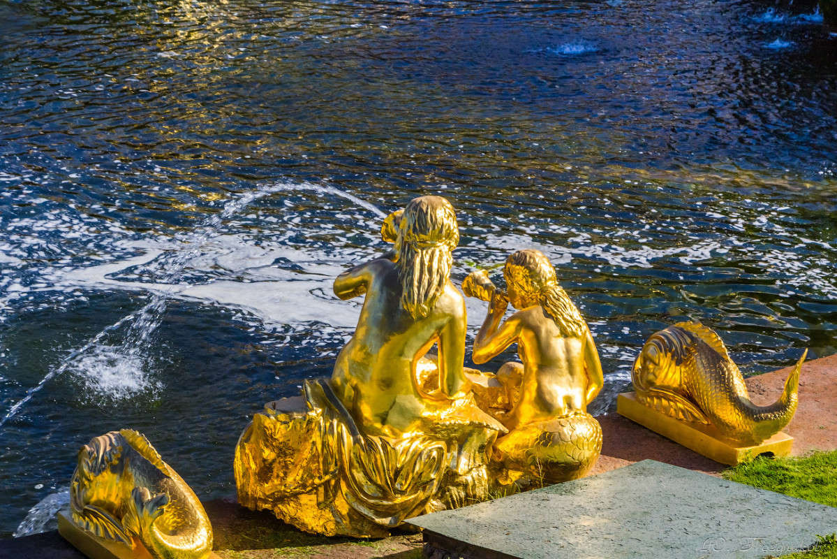 ������ ����� ���� ��������� �� PhotoGeek.ru #��������