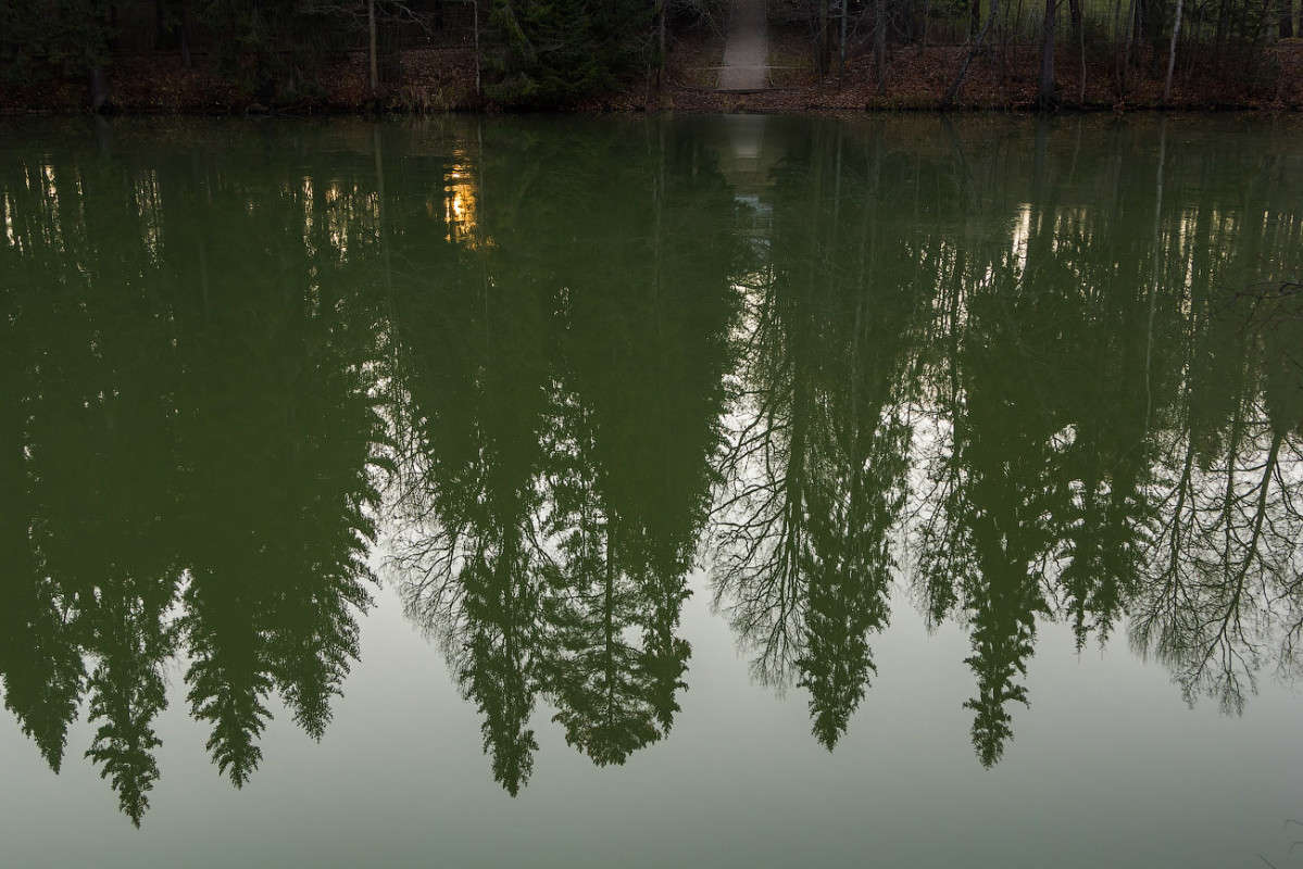 ��������� ����� ���� ��������� �� PhotoGeek.ru #������ ��� ������� #��������