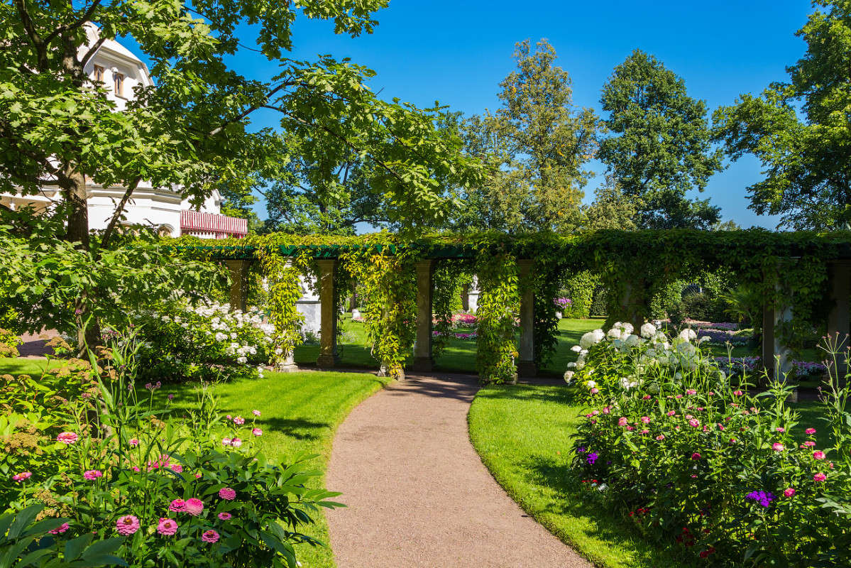 �����������, �����. ����� ���� ��������� �� PhotoGeek.ru #������ ��� ������� #��������