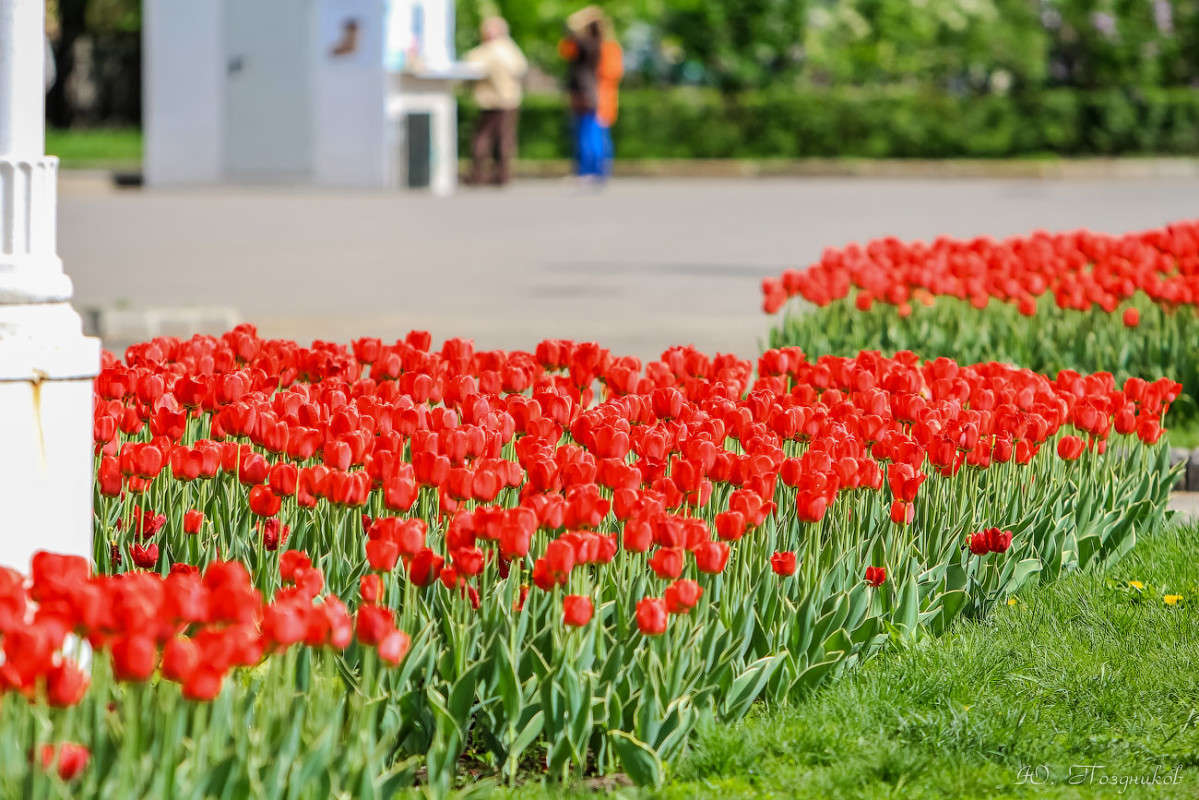 ���� ����� ���� ��������� �� PhotoGeek.ru #����� #������ ��� ������� #��������