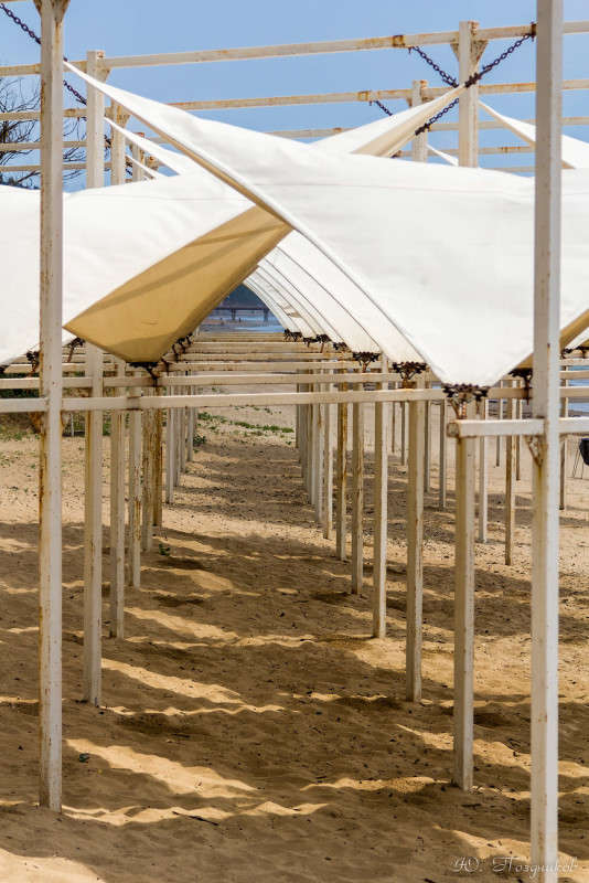 ���� ����� ���� ��������� �� PhotoGeek.ru #�����������