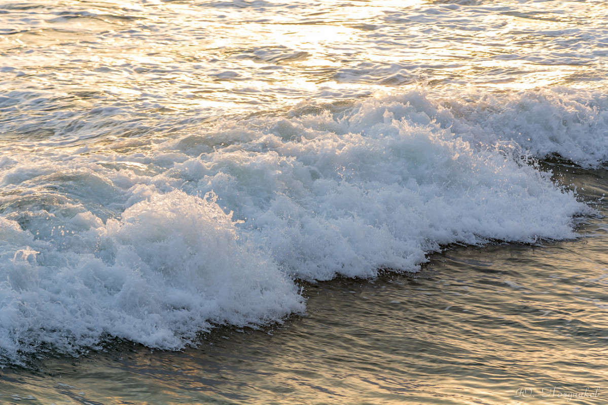 �������� ����� ����� ���� ��������� �� PhotoGeek.ru #������ ��� �������