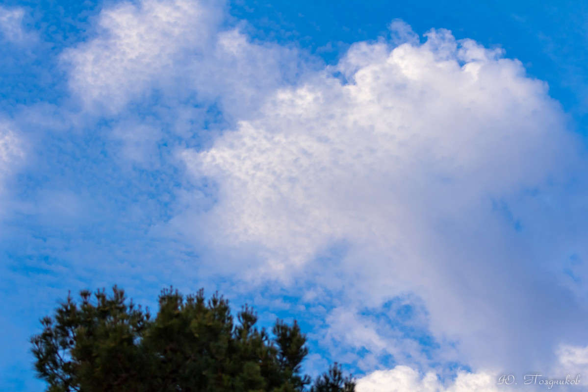 ������ ����� ���� ��������� �� PhotoGeek.ru #������ ��� ������� #���������